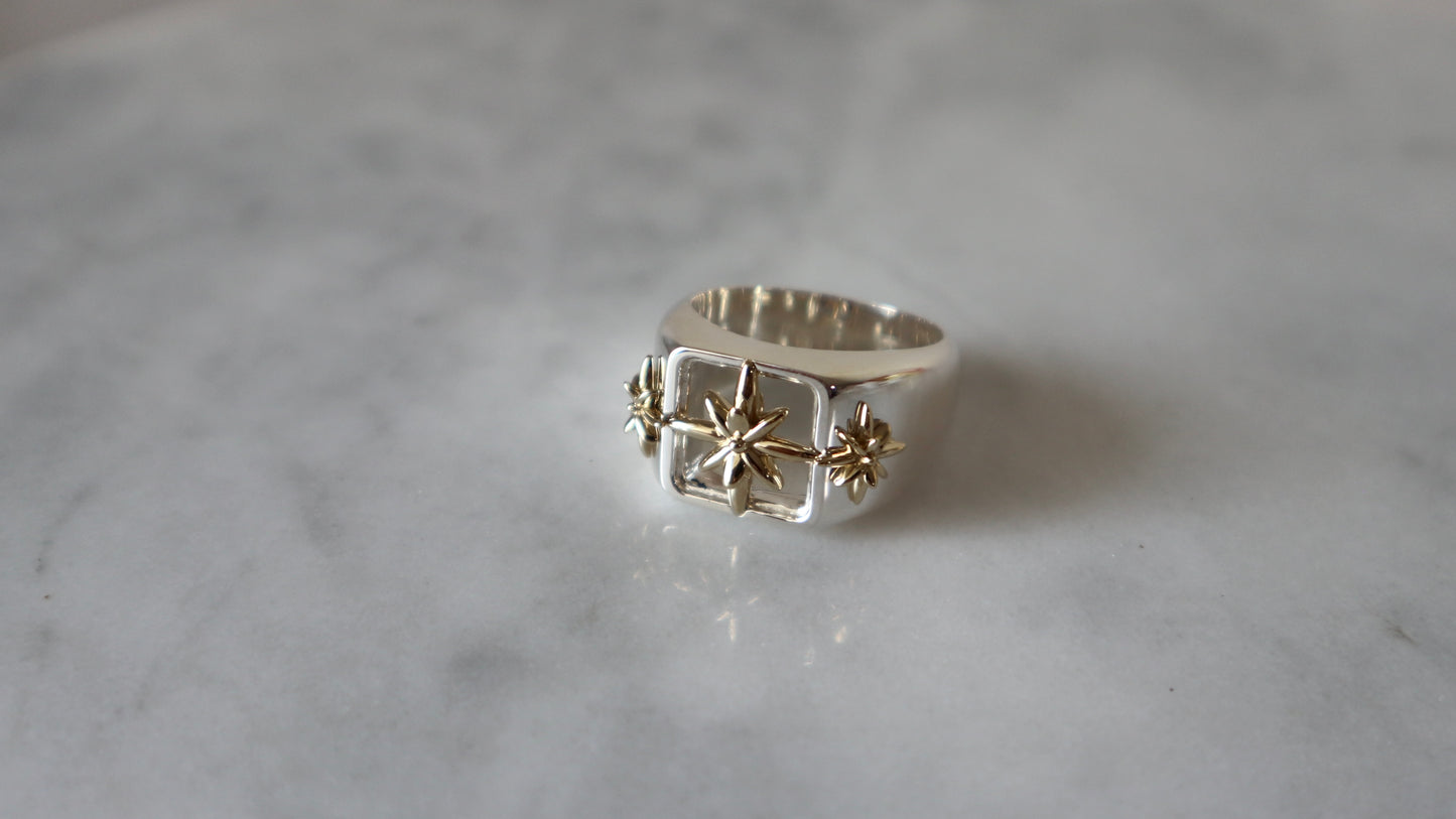 3D Star Ring