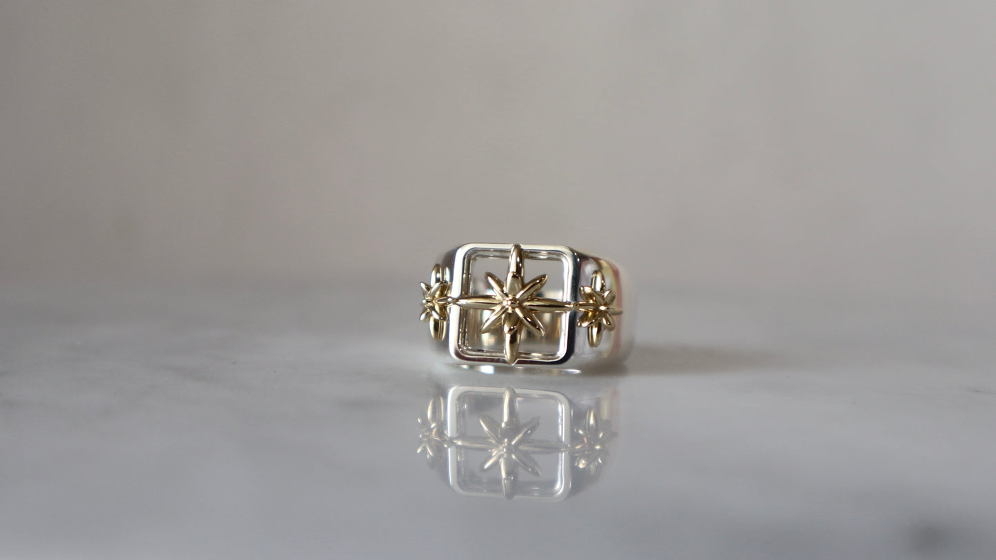 3D Star Ring