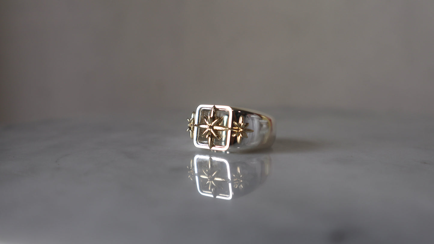 3D Star Ring
